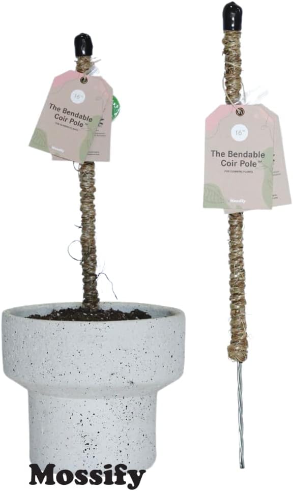Bendable Coir Pole for Climbing Plants, Sturdy, 30 in | Shapeable Steel Core Wrapped in Natural Manila, Monstera