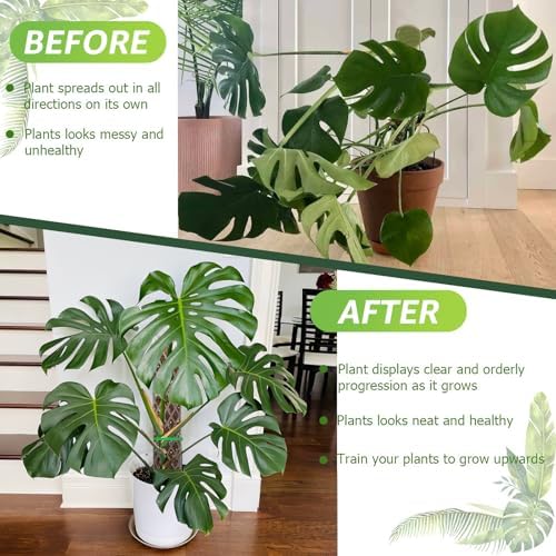 Sisher Monstera Moss Pole 4pcs Plastic Moss Pole for Climbing Plants