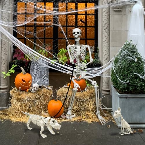 5.4Ft Posable Halloween Skeleton with Dog Cat Skeleton for Halloween Decor
