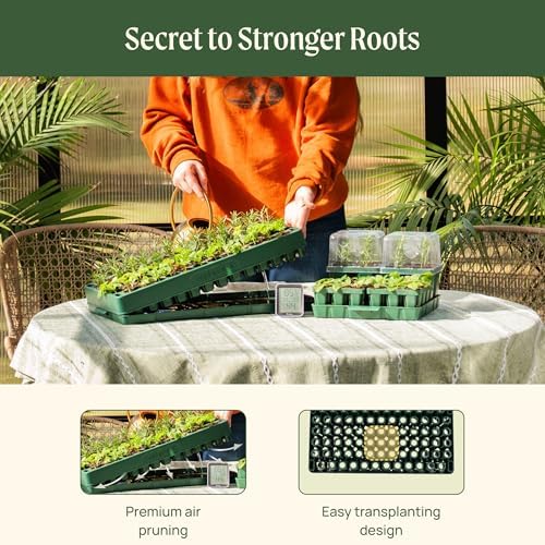 Vego garden 3-in-1 Plant & Pop Board Seedling Popper Tool, 10" x 20", Works Perfectly with Stackable Seedling Trays