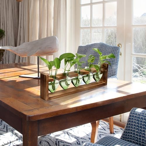 Plant Terrarium Hanging Propagation Stations Gift for Women