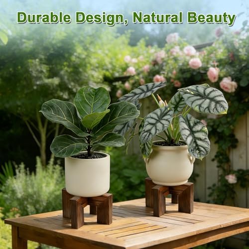 Wood Plant Stand Indoor Outdoor, Mid Century Modern Planter Holder, Sturdy Plant Pot Stand, Single Floor Flower Pot Holder (Walnut, Fit 2.5-6 Inch Pots)