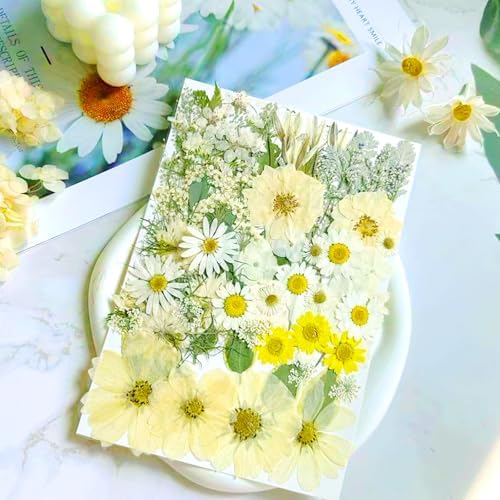 84 Pcs White Dried Pressed Flowers for Resin, Real Natural Bulk Dry Wildflowers Leaves Perfect for Epoxy Molds, DIY Crafts, Nails Soap Candles Jewelry Making, and Home Decor
