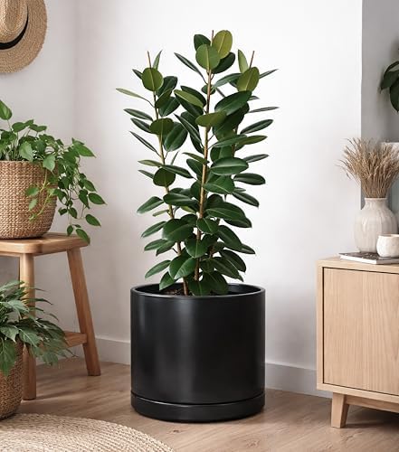 D'vine Dev 16 Inch Ceramic Planter Pot, Black, 94-O-H-2