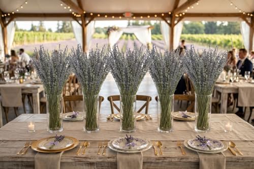 Dried Lavender 4 Bunches 100% Fresh Natural Purple Bouquet Flowers for Bathroom Photo Props Crafts (200g/7oz), 15-17" for Shower Weeding Vase Decor, Aromatherapy Home Fragrance(400-440 Stems Total)