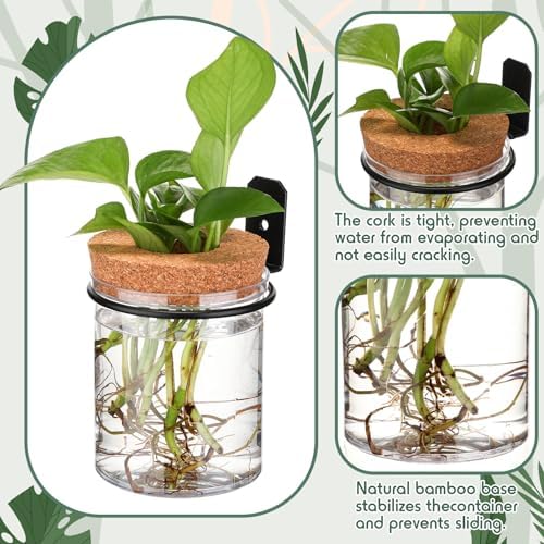 Baderke 6 Set Wall Plant Holder with Plastic Propagation Vases Hanging Planter Wall Mounted Set for Plants Growing in Water Hydroponic Artificial Plants Indoor Decor (3.54" X 4.33",Stylish)