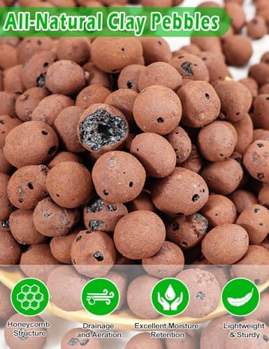 TOYPOPOR Leca Clay Pebbles for Plants, (6 Quarts) Leca Balls, Lightweight Clay Ball, Potting Mix, Grow Media Used for Drainage, Decoration, Aquaponics, Hydroponics and Other Gardening Essentials