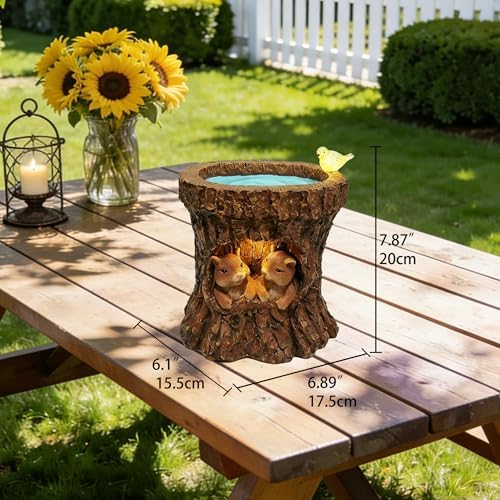 Solar Whimsical Squirrel Walnut Bird Feeder for Garden Decor: IP44 Weatherproof Resin with Automatic Lighting - No Installation- Outdoor Yard Patio Balcony Art - Birthday Gifts for Bird Lovers Women