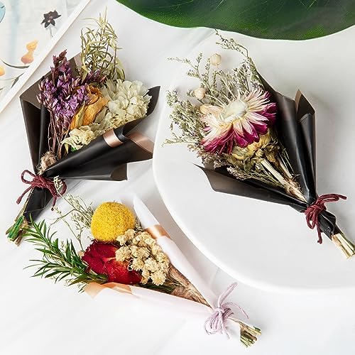 10 Pcs Dried Flowers for Crafts, Mini Dried Flowers Bouquet Bulk for Vase DIY Photo Bridesmaid Gift Birthday Decor