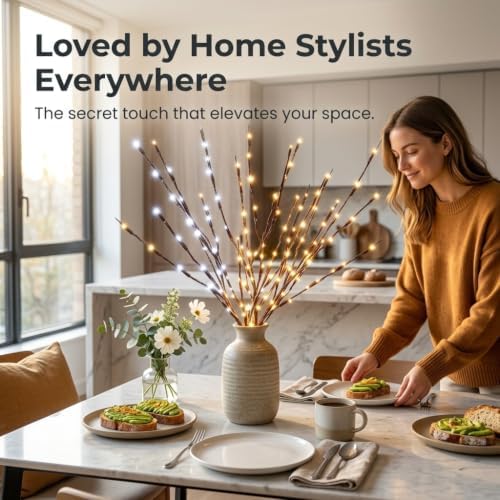 DK177 2Pack Warmlight + 2Pack Whitelight Led Branch Light Battery Operated Lighted Branch Vase Filler Willow Tree Artificial Little Twig Power Brown 30 Inch 20 LED for Home Decoration