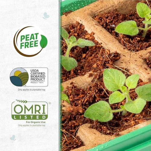 Back to The Roots 10-Cell Greenhouse Germination Kit | Includes Biodegradable Pots & Vented Greenhouse Lid | Made from 75% Recycled Plastic