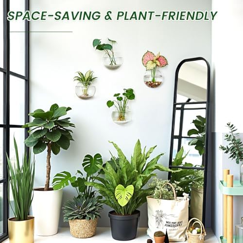 DomeStar Set of 4 Wall Vases, Wall Mounted Propagation Station