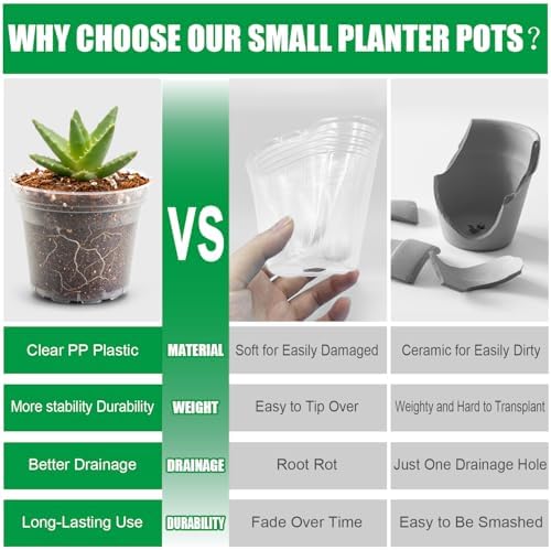 BTPLASTIK 50 Pack 3 Inch Clear Nursery Pots with Drainage Hole, Small Transparent Seed Starter Pots, Sturdy Plastic Plant Pot for Planting Seedlings Vegetables Flowers (3Inch-50P)