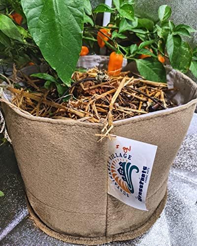 Grassroots Fabric Pot 5 Pack | Grow Bag for Plants Indoors | Living Soil Planter Pots for Outdoor Plants (10 Gallon)