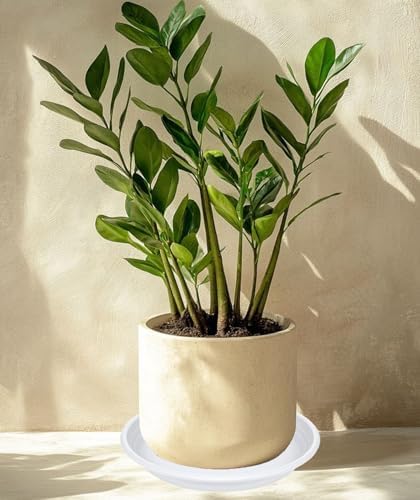 2 Pack of 12 inch Plant Saucer, Large Plant Tray, Heavy Sturdy Plant Drainage Tray for Indoors, Bird Bath Bowls, Sturdy Plastic Pot Tray for Planter (White)