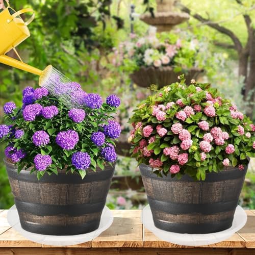 2 Pack of 19 inch Clear Plant Saucer, Large Plant Tray, Heavy Sturdy Plant Drainage Tray for Indoors, Bird Bath Bowls, Sturdy 18 inch Plastic Pot Tray for Planter