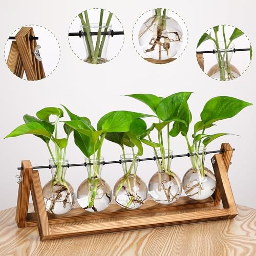 Propagation Station Accessories,2 Pack with Holes Glass Bulb vases