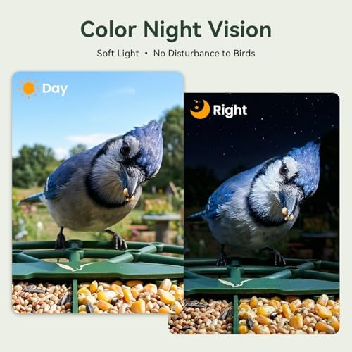 Smart Bird Feeder with Camera, 11000+ AI Bird Recognition, 2K HD Color Night Vision, IP65 Waterproof Solar Powered Bird Feeder with 142° Wide Angle, Motion Detection for Outdoor Garden, Ideal Gift