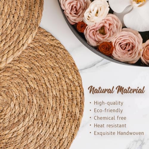 BAVIFY 13" Round Woven Placemats Set of 6, Plate Chargers for Dining Table