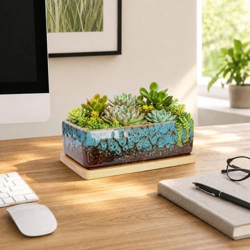 Succulent Pots, 7'' Large Long Rectangle Planters with Drainage Tray
