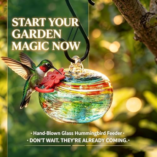 QFkris Blown Glass Hummingbird Feeder for Outdoors Hanging