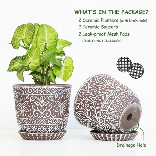 Gepege Ceramic Plant Pots, 6 Inch Indoor Planters with Drainage & Saucers