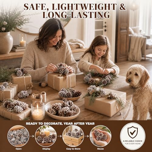 DOMESTAR 40 PCS Snow Pine Cones for Crafts, Natural Cones Bowl Fillers