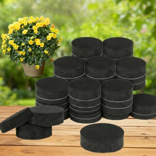 40Pcs Pot Feet Invisible Round Flowerpot Riser Stands Self - Adhesive Black Non - Slip Heavy Duty Pot Pad for Balcony