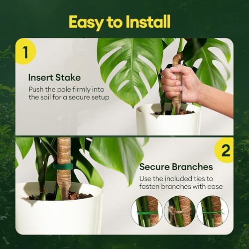 Maygrove 3-Pack 48" Bendable Moss Pole Monstera Plant Support for Climbing