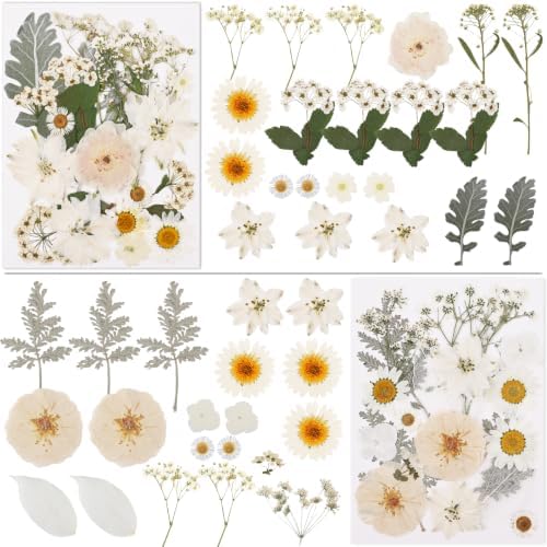 NESCCI 83 Pcs Dried Flowers for Crafts,Real Natural Dried Pressed Flowers