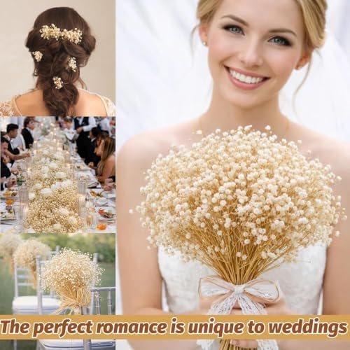 2300+ Dried Baby's Breath Flowers 17" Gypsophila Stems for Decor