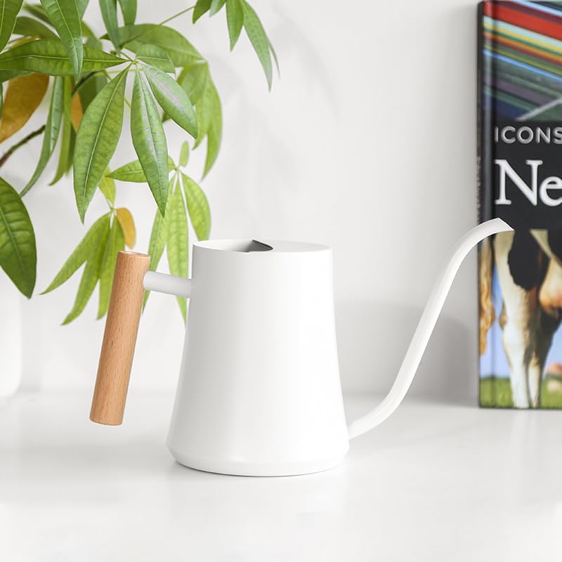 Small Watering Can Indoor Plants Metal Watering Cans 1L/34oz (White)