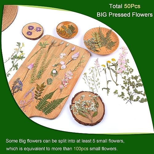 Large Dried Pressed Flowers for Art Crafts, Real Dry Natural Flower Leaf Fruit Bulk for Resin Mold, Cake Decor, Glass Frame (Spring Garden)