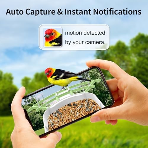 Bird Feeder with Camera, AI Identify Birds Species, FHD 2K Video Quality Bird Watching, Wireless Outdoor Weatherproof Birds House, Solar-Powered, for Garden, Yard,Patio, Green