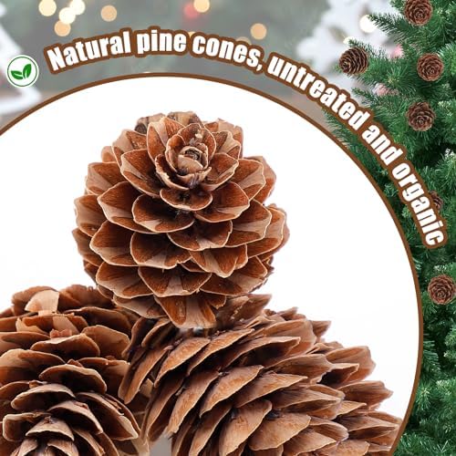Apipi 1.2" Natural Small Pine Cones Fall Decor Christmas Ornaments, 40 Pcs