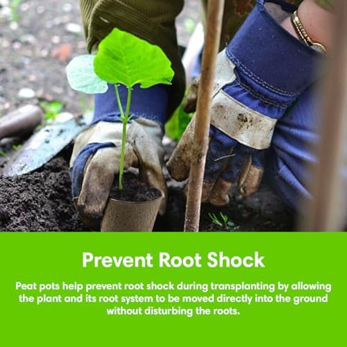 Seed Starter Kit - 10 Peat Pots, Coco Coir Discs & Markers