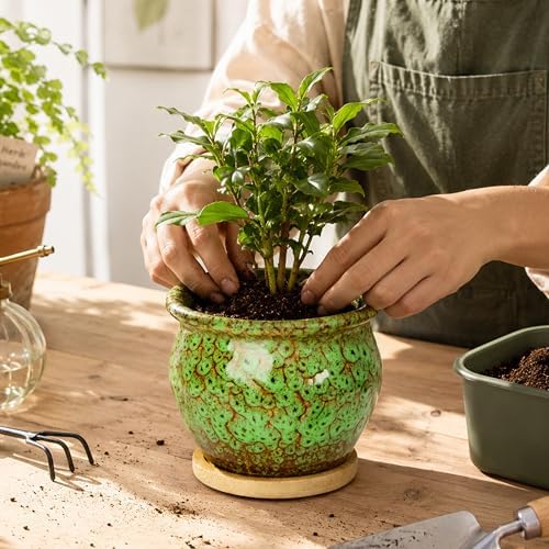 4.5 Inch Plant Pots, Small Pots for Plant Indoor, Succulent Pots with Tray