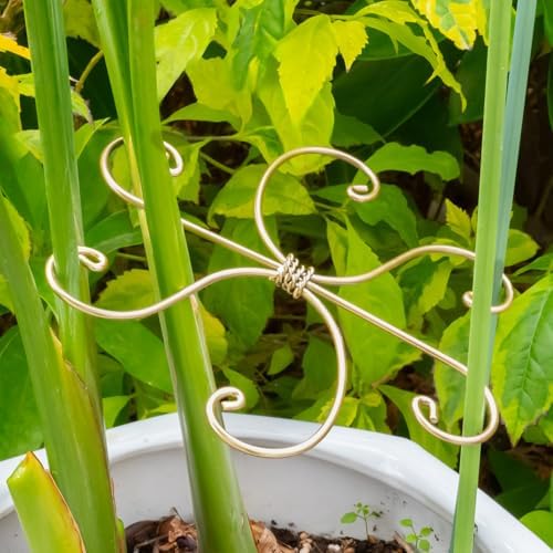 5PCS Monstera Plant Stem Support Stakes - 5.5 in Metal Supports