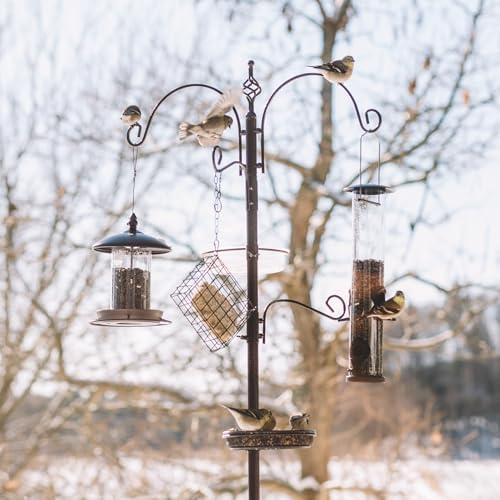 Backyard Expressions Heavy Duty Bird Feeding Station Kit w/Squirrel Baffle - 90" Bird Feeder Pole with 5 Prong Base, Suet Feeder, Mesh Feeding Tray, 4 Feeder Hooks, Water Dish - Black w/Gold Fleck
