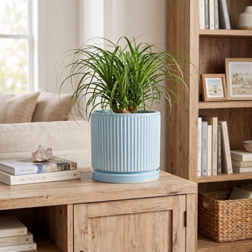 Ceramic Planter, 8 Inch Flower Pots, Round Plant Pot, Light Blue
