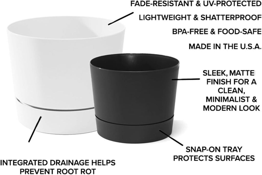 Root & Vessel Majestic Mid-Century Modern Low Profile Cylinder Pot, Matte Black, 12.5"