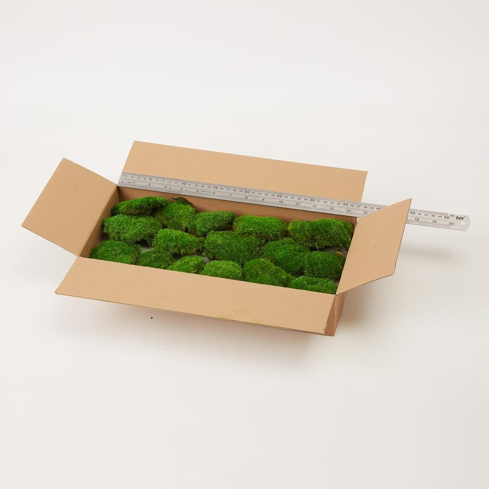 Preserved Pole Moss Pillow Bun Cushion Natural Green Decorative Real Natural Green DIY Kit Terrariums Gardenning Art