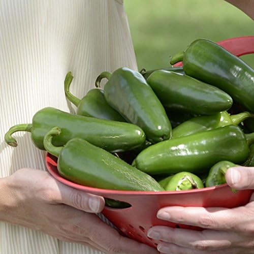 Park Seed Whopper Collection – High-Yield Tomato, Bell Pepper, Jalapeño & Cucumber Seed Set, Crisp, Flavorful &