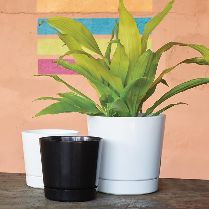 Root & Vessel Majestic Full Depth Cylinder Pot, Glossy White, 14-Inch (10142)