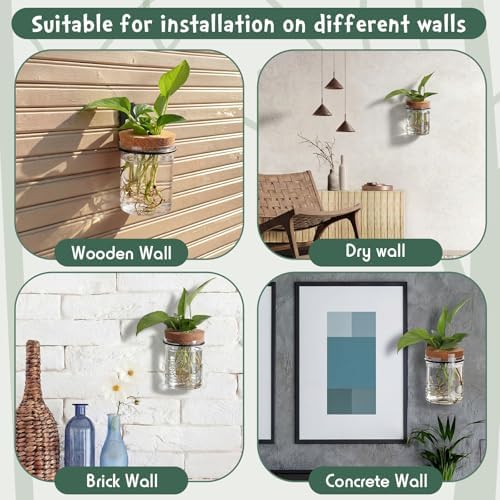 Baderke 6 Set Wall Plant Holder with Plastic Propagation Vases Hanging Planter Wall Mounted Set for Plants Growing in Water Hydroponic Artificial Plants Indoor Decor (3.54" X 4.33",Stylish)