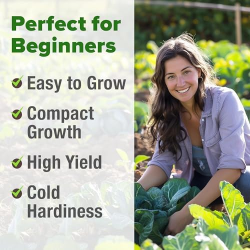 HOME GROWN Vates Collard Green Seeds, 300+ Seeds