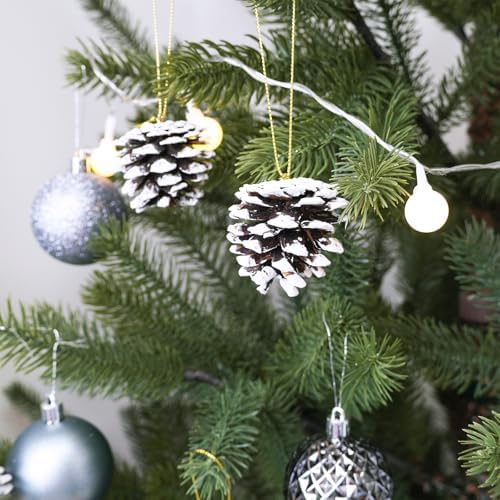 Winlyn 30 Pcs Frosted White Natural Pinecones Christmas Ornaments - Hanging With String for Tree Decorations, Winter Wedding, Holiday Party, DIY Craft, Seasonal Wreath