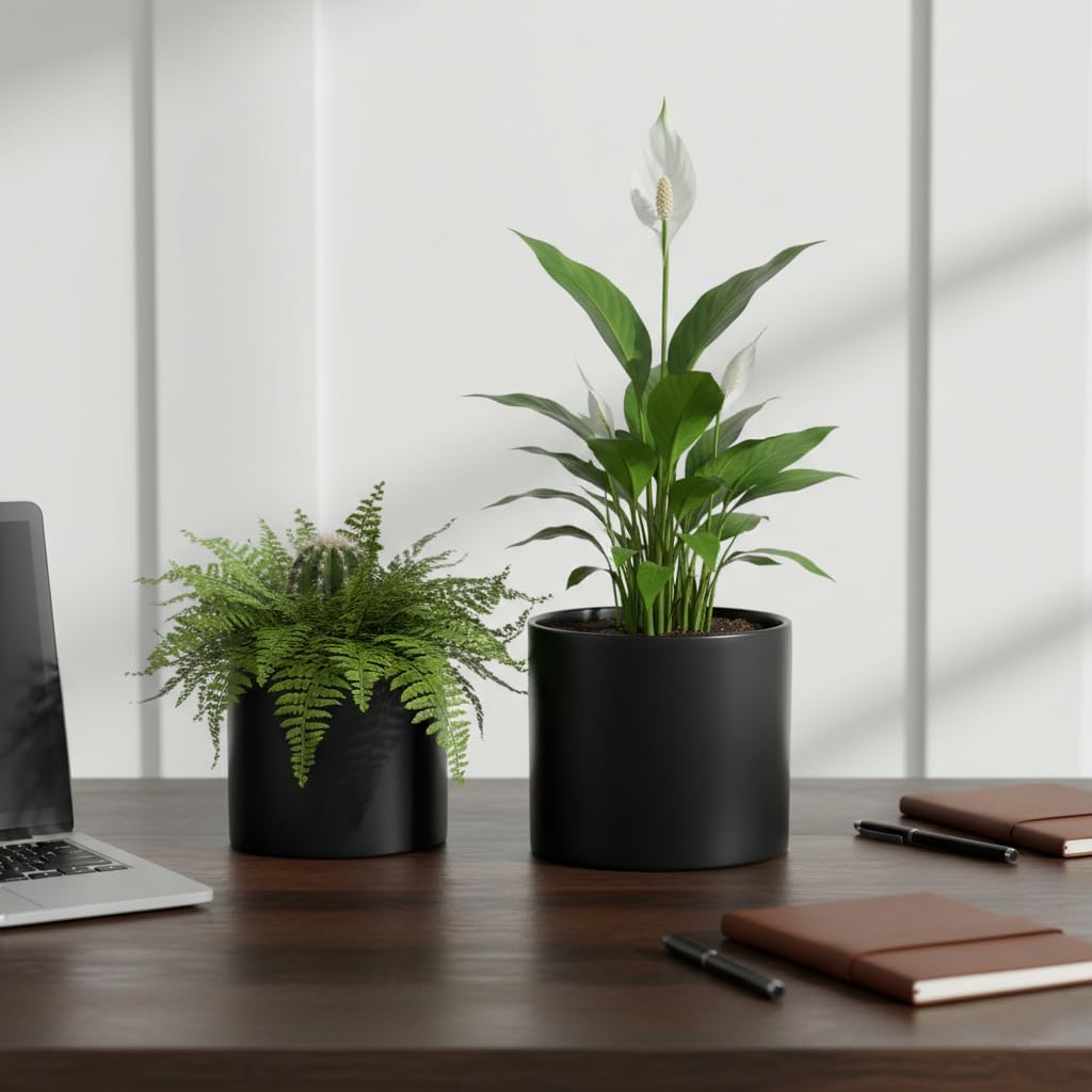 Nihow Ceramic Plant Pots with Drainage for Indoor Plants, 5 & 7 Inch,Black | Cylinder Shape, For Indoor Plants