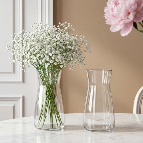 8 inch Glass Flower Vases for Flower 2 Pack,Clear Glass Vases