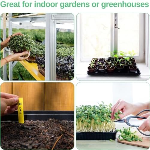 Plant Growing Trays for Seedlings Microgreen Seed Starter Shallow Plants Tray Drip Tray Standard 1010 Tray no Holes 5 Pack Black 10.7 x 10.7 inches Square Trays